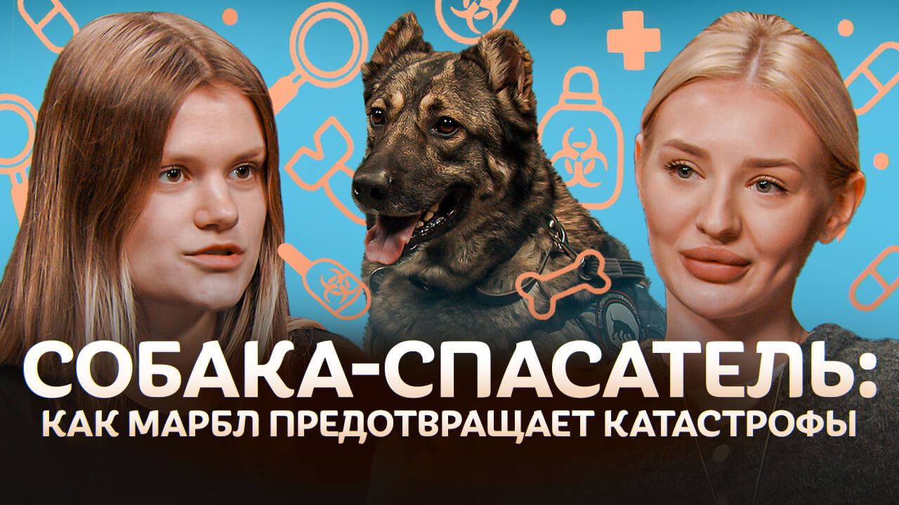 Как собаки спасают жизни