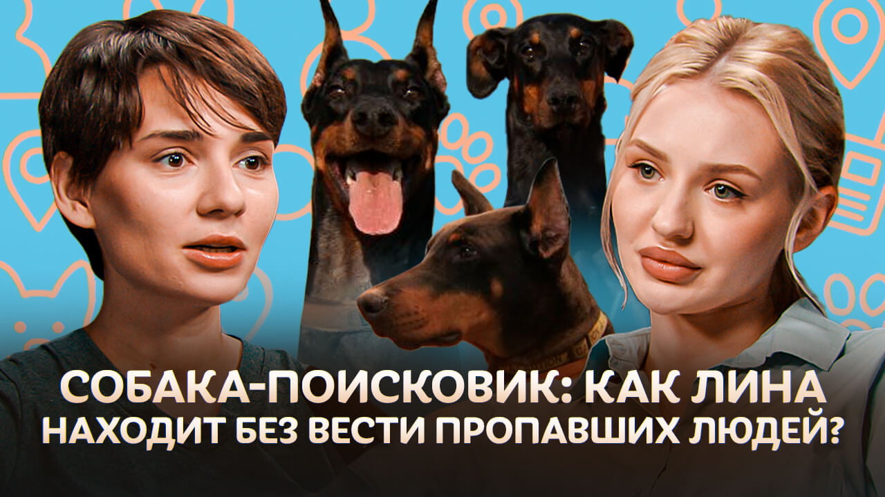 Как собаки находят пропавших людей