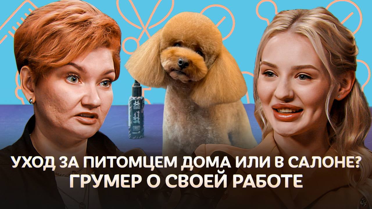 Грумер для собак о своей работе: уход, ошибки и советы