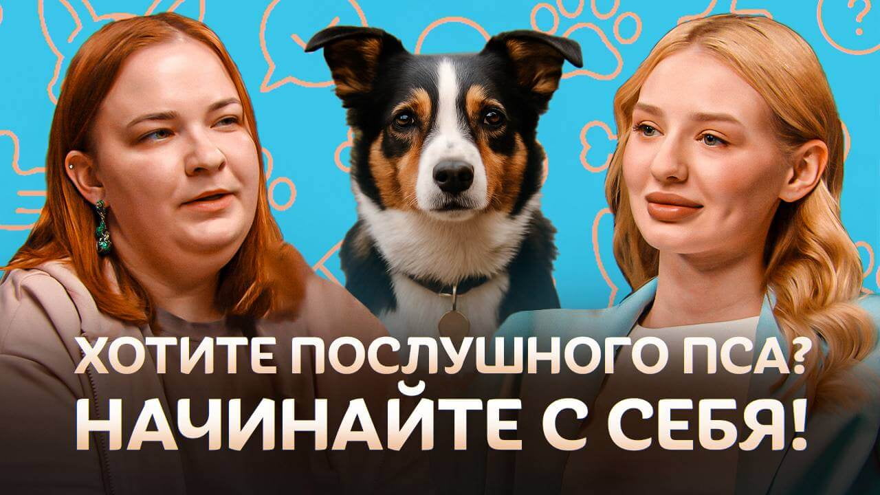 Почему собака не слушается?