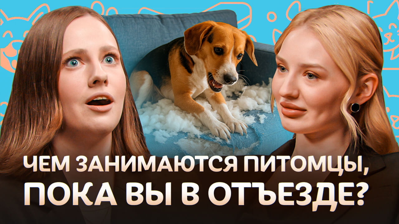 Как передержка собак стала семейным бизнесом?