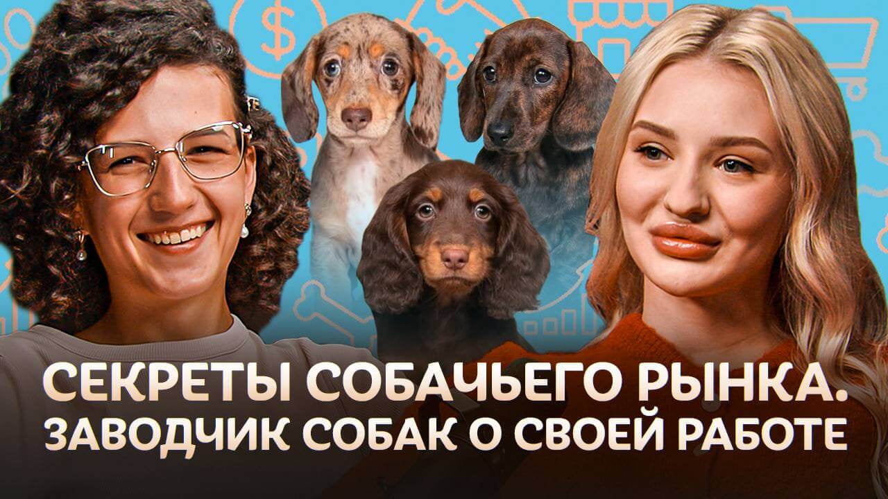 Секреты собачьего рынка
