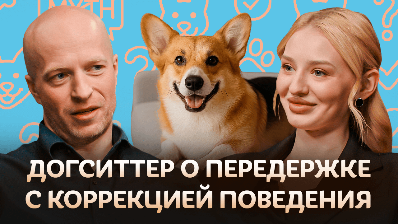 Что будет, если вы оставите собаку чужому человеку?