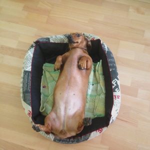 Фото из архива Маргариты