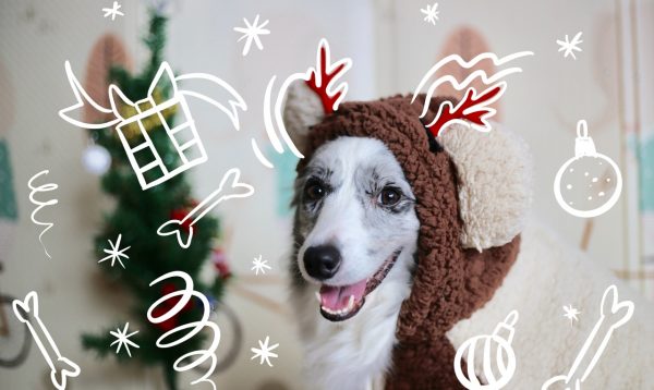 gift-for-dog-lovers