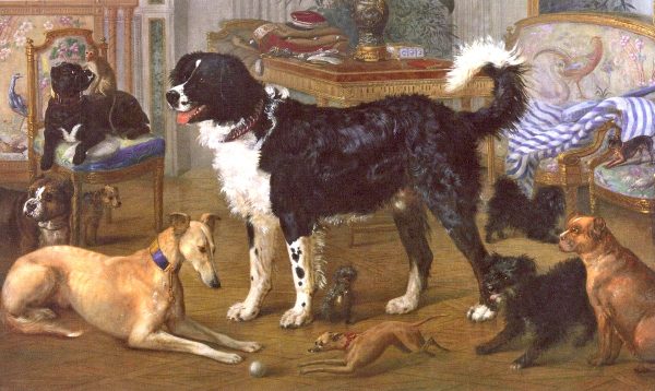PETS OF THE ROMANOVS
