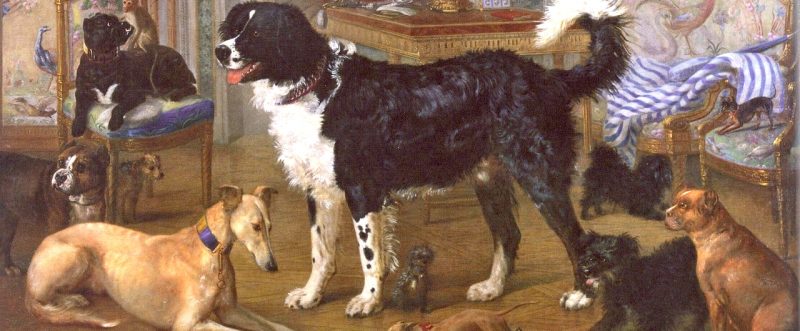 PETS OF THE ROMANOVS