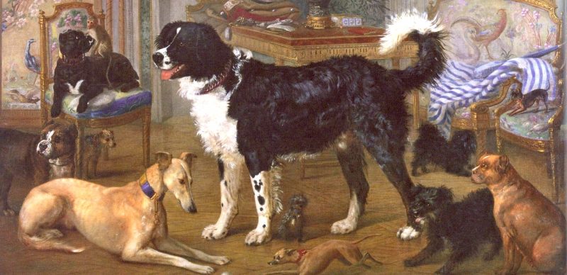 PETS OF THE ROMANOVS