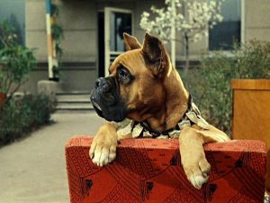 Кадр из фильма «Операция Ы и другие приключения Шурика» (1965)